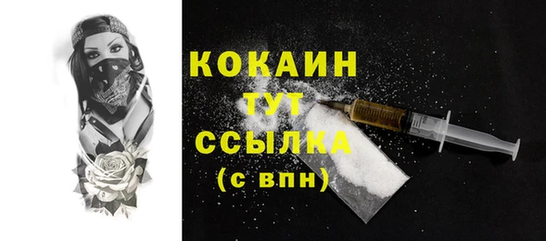 PSILOCYBIN Волосово