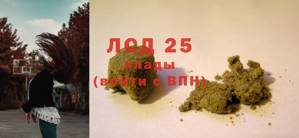PSILOCYBIN Волосово