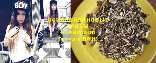 mix Вяземский