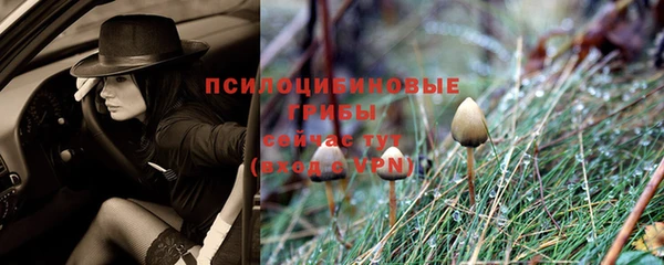 герыч Володарск