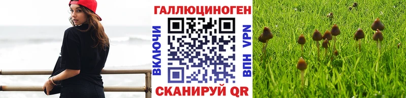 Галлюциногенные грибы Psilocybe  Купить  Карпинск 